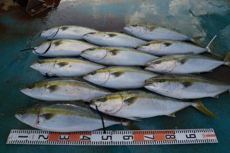 アジアマリンサービス 釣果