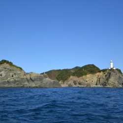 アジアマリンサービス 釣果