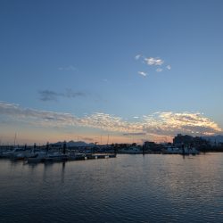 アジアマリンサービス 釣果