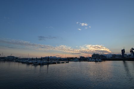 アジアマリンサービス 釣果