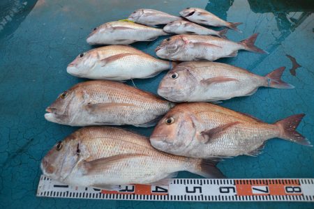 アジアマリンサービス 釣果