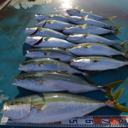 アジアマリンサービス 釣果