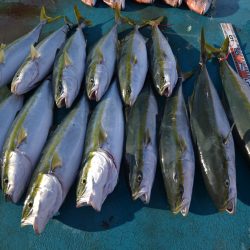 アジアマリンサービス 釣果