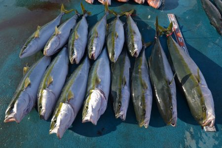 アジアマリンサービス 釣果