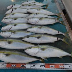 アジアマリンサービス 釣果