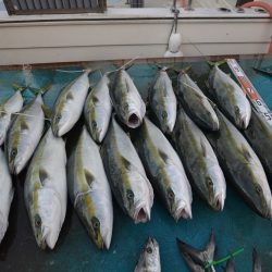 アジアマリンサービス 釣果