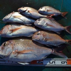 アジアマリンサービス 釣果