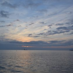 アジアマリンサービス 釣果