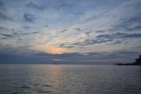 アジアマリンサービス 釣果