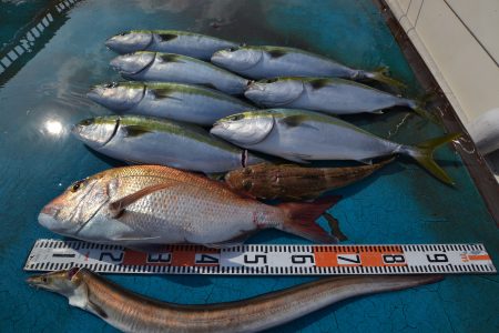 アジアマリンサービス 釣果