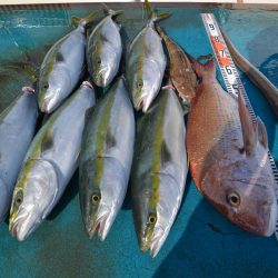 アジアマリンサービス 釣果