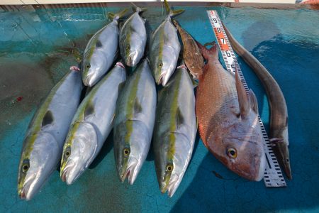 アジアマリンサービス 釣果