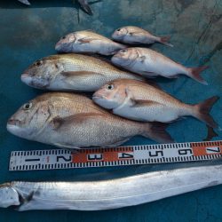 アジアマリンサービス 釣果