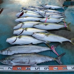 アジアマリンサービス 釣果