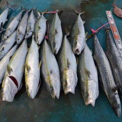 アジアマリンサービス 釣果