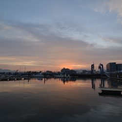 アジアマリンサービス 釣果