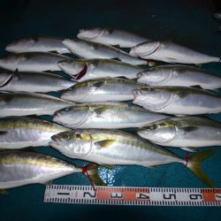 アジアマリンサービス 釣果