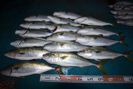 アジアマリンサービス 釣果