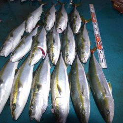 アジアマリンサービス 釣果