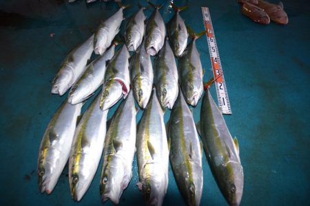 アジアマリンサービス 釣果