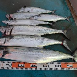 アジアマリンサービス 釣果