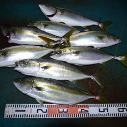 アジアマリンサービス 釣果