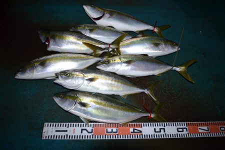 アジアマリンサービス 釣果