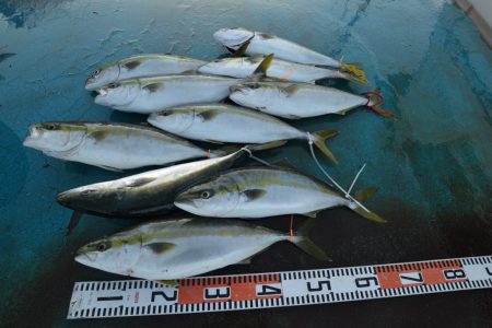 アジアマリンサービス 釣果