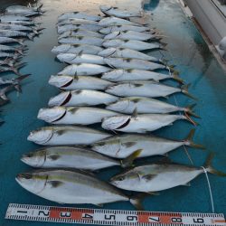 アジアマリンサービス 釣果