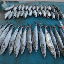 アジアマリンサービス 釣果