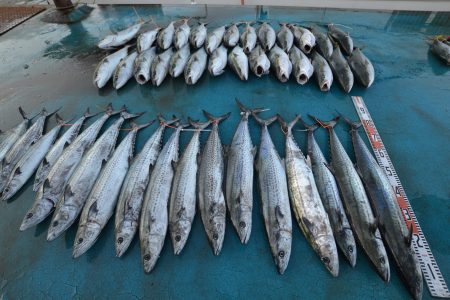 アジアマリンサービス 釣果