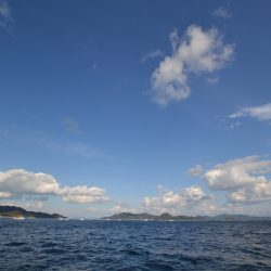 アジアマリンサービス 釣果