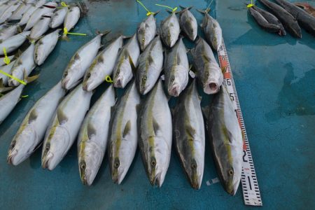 アジアマリンサービス 釣果