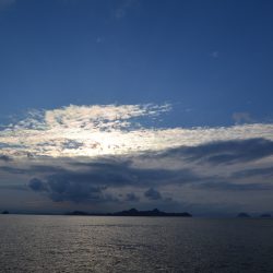 アジアマリンサービス 釣果