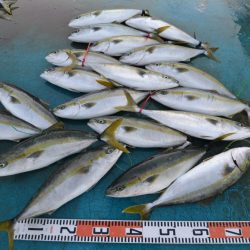 アジアマリンサービス 釣果