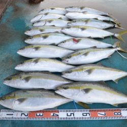 アジアマリンサービス 釣果