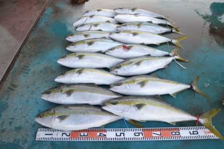 アジアマリンサービス 釣果