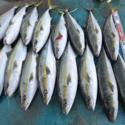 アジアマリンサービス 釣果