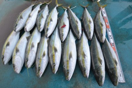 アジアマリンサービス 釣果