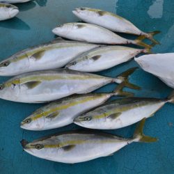 アジアマリンサービス 釣果