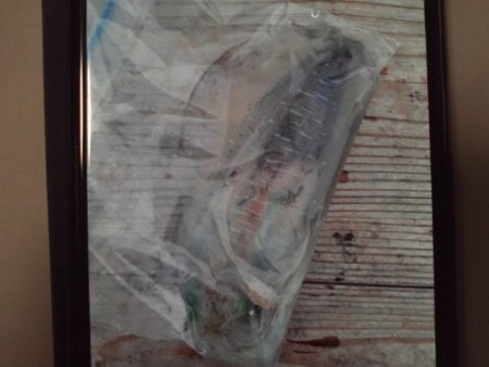 こかわ渡船　雅丸 釣果