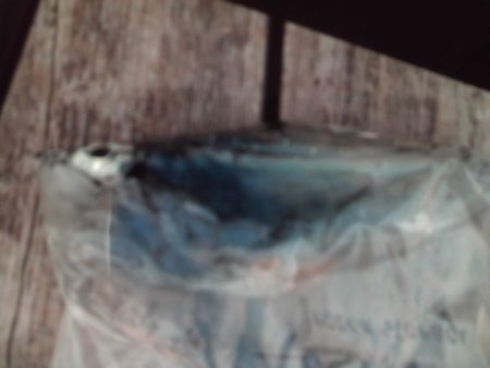 こかわ渡船　雅丸 釣果