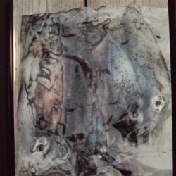 こかわ渡船　雅丸 釣果