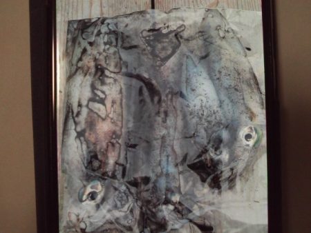 こかわ渡船　雅丸 釣果