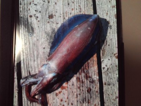 こかわ渡船 雅丸 釣果