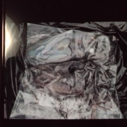 こかわ渡船　雅丸 釣果