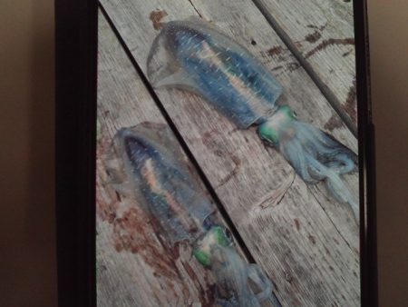 こかわ渡船　雅丸 釣果