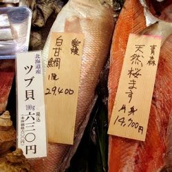 フィッシングボート空風(そらかぜ) 釣果