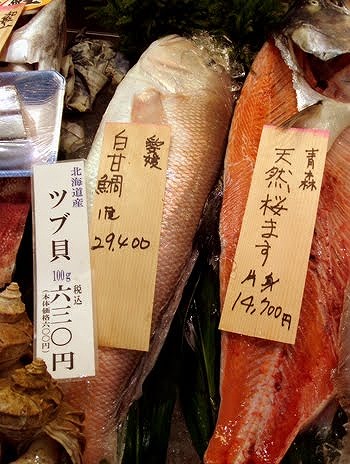 フィッシングボート空風(そらかぜ) 釣果