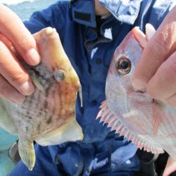 まとばや 釣果